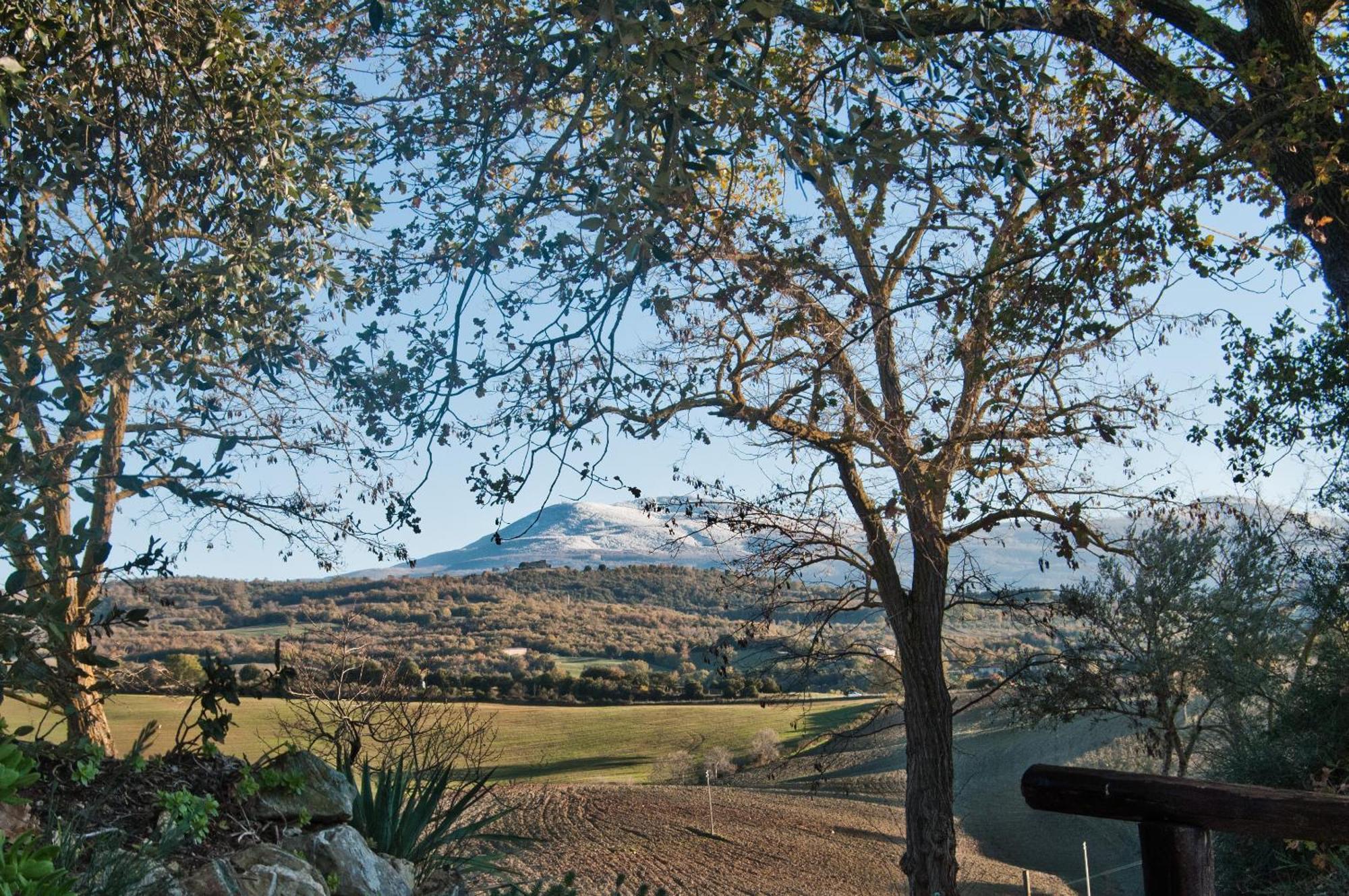 Agriturismo Grossola Castiglione dʼOrcia Eksteriør bilde