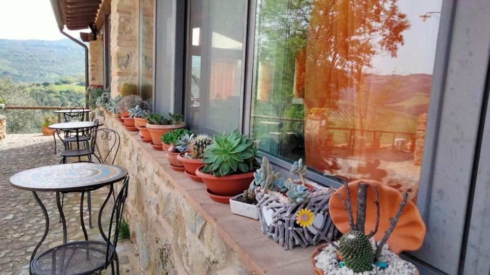 Agriturismo Grossola Castiglione dʼOrcia Eksteriør bilde
