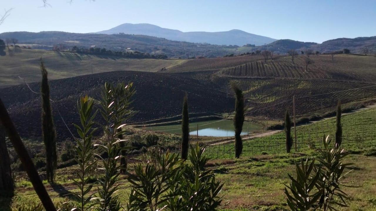Agriturismo Grossola Castiglione dʼOrcia Eksteriør bilde