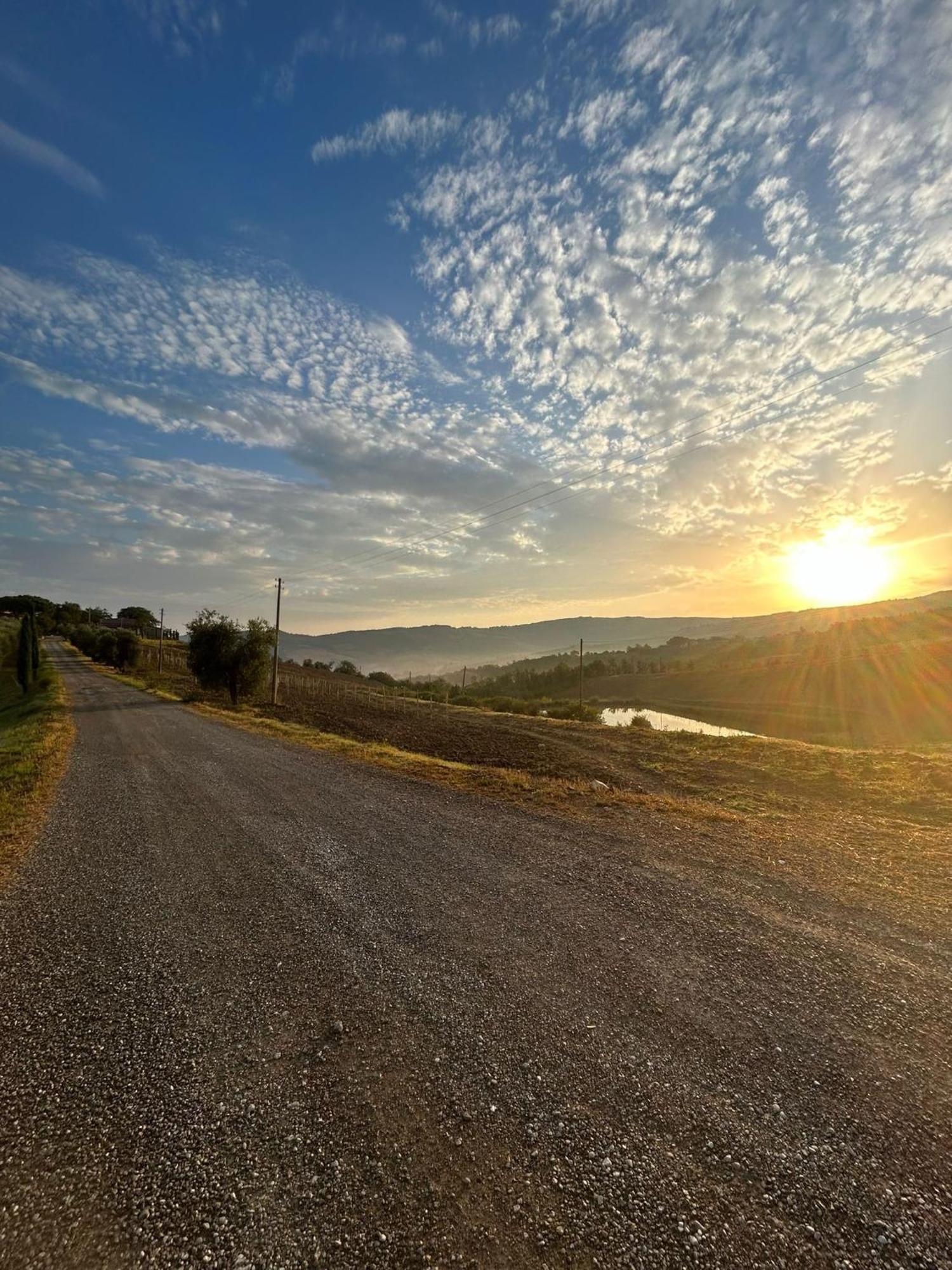Agriturismo Grossola Castiglione dʼOrcia Eksteriør bilde