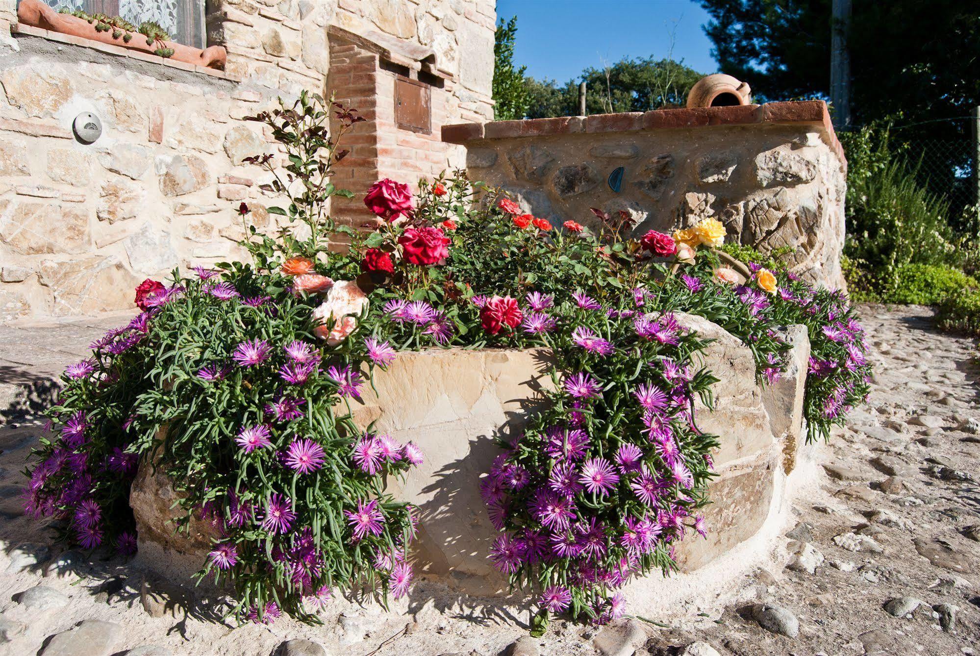 Agriturismo Grossola Castiglione dʼOrcia Eksteriør bilde