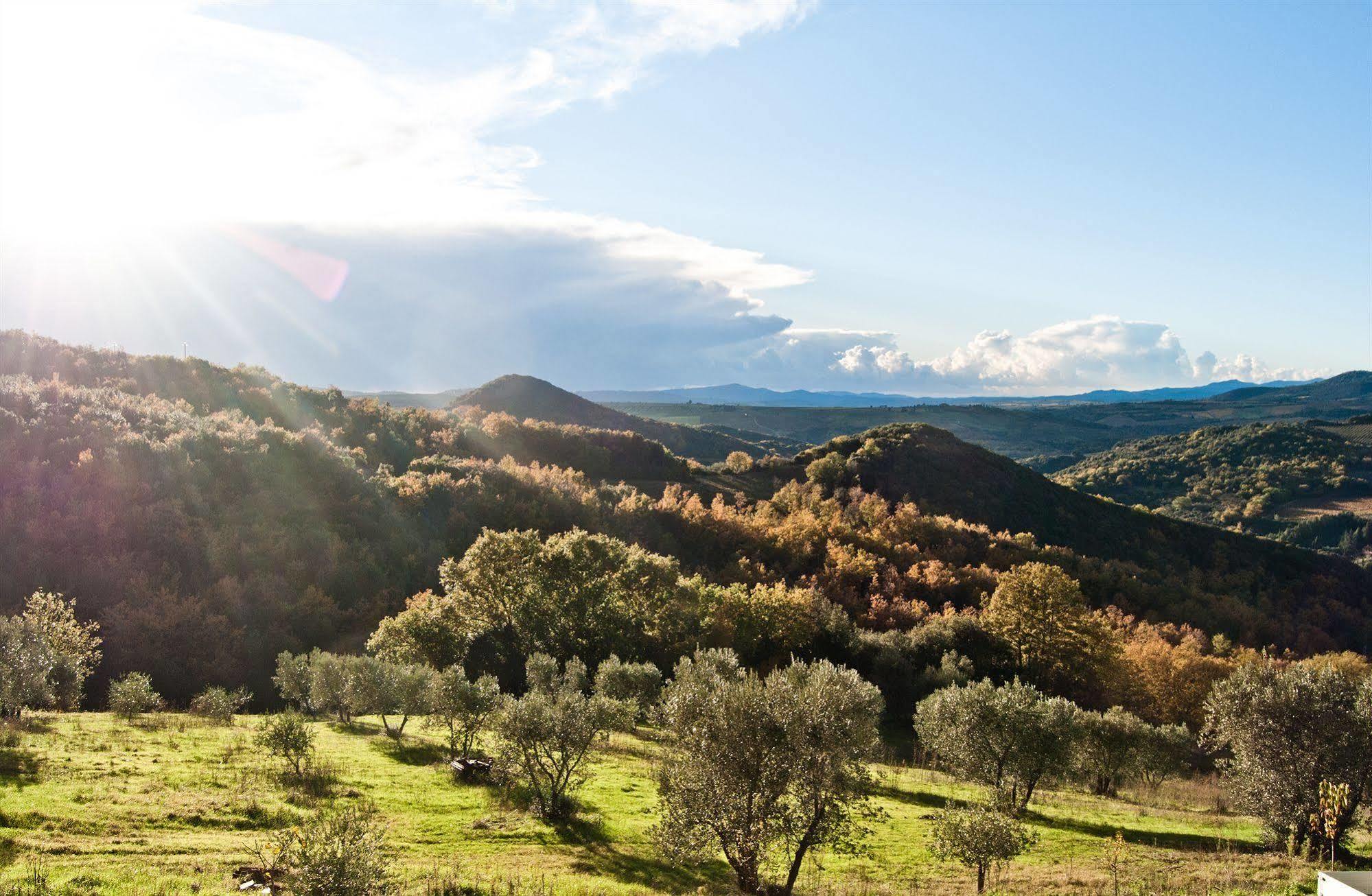 Agriturismo Grossola Castiglione dʼOrcia Eksteriør bilde